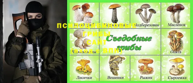 цена наркотик  blacksprut зеркало  Псилоцибиновые грибы Magic Shrooms  Шлиссельбург 